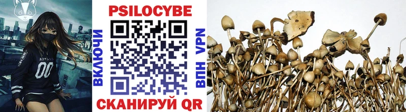 Галлюциногенные грибы GOLDEN TEACHER  Беслан 